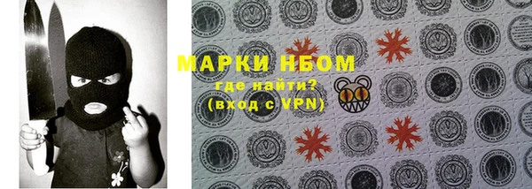 гидра Зеленодольск