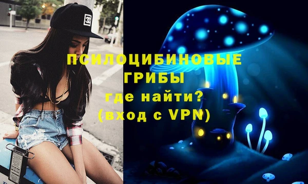 гидра Зеленодольск