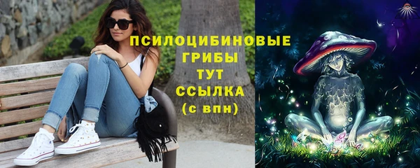 тгк Зеленокумск