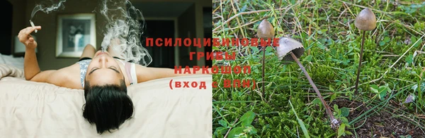 гидра Зеленодольск