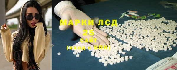 гидра Зеленодольск