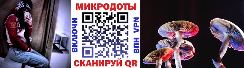 Купить где  Майский  Галлюциногенные грибы прущие грибы 